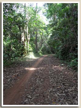chemin retour